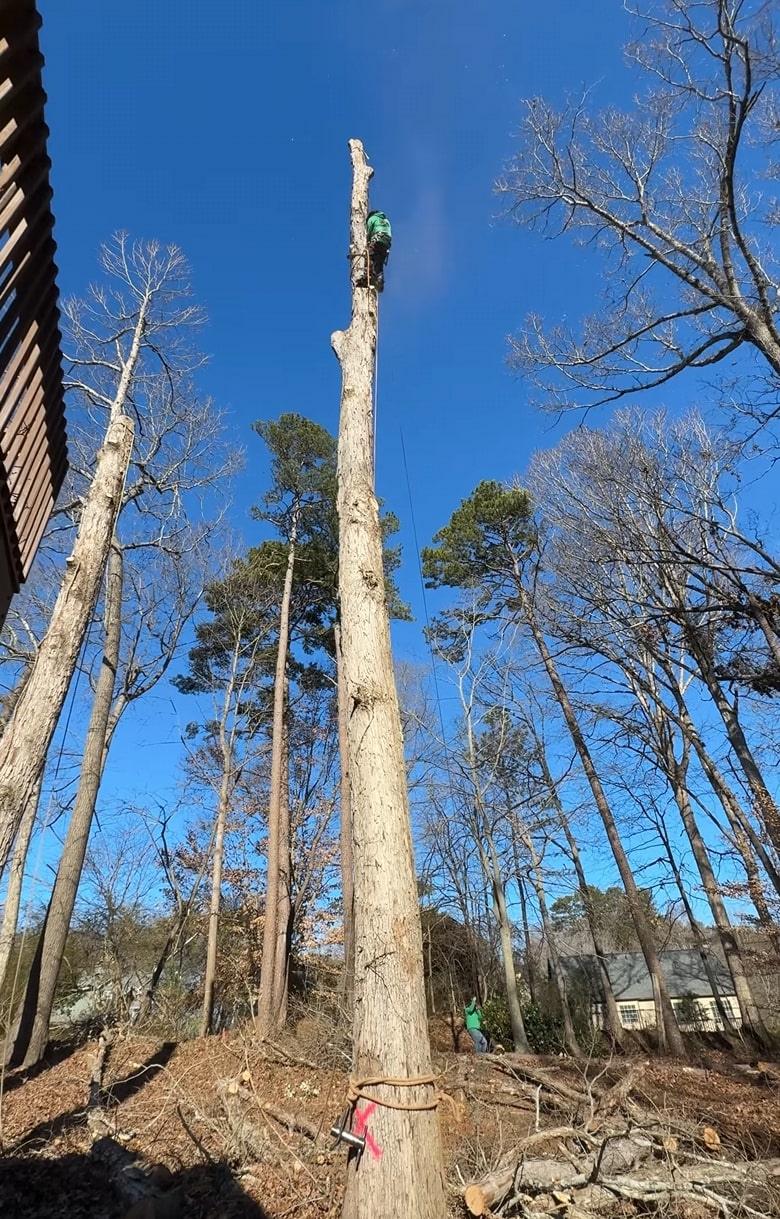 Emergency Tree Services service in Peachtree Corners, GA